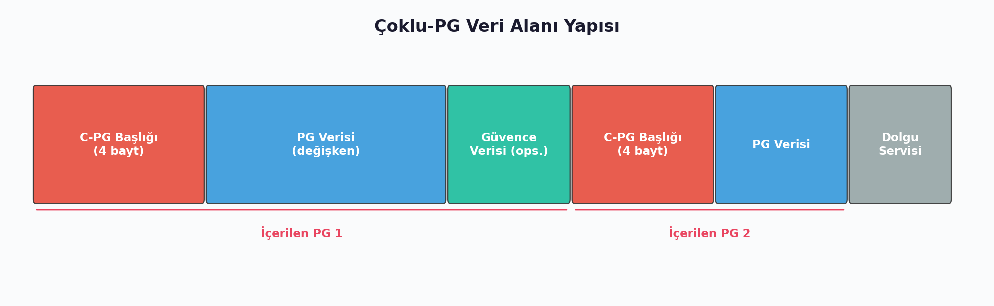 Multi-PG Data Field Structure